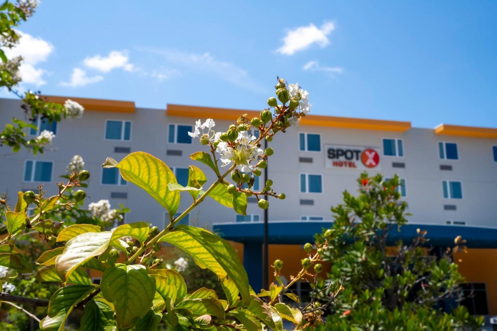 Spot X Hotel Orlando Intl Dr By The Red Collection Лейк Буена Віста Екстер'єр фото